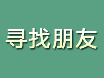 盘龙寻找朋友